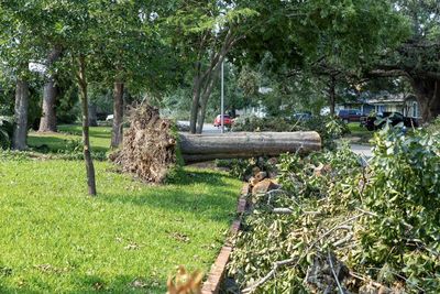 Intervention d'urgence après tempête de verglas
